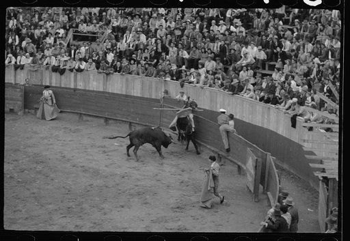 Untitled photo, possibly related to: A picador, bullfight, Matomoros, Mexico