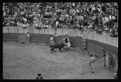 A picador, bullfight, Matomoros, Mexico