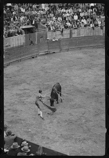 Placing the sword for the kill, bullfight, Matomoros, Mexico