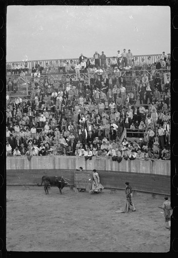 Bullfight, Matomoros, Mexico