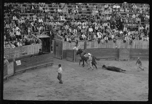 The end, bullfight, Matomoros, Mexico