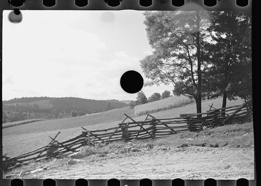 Untitled photo, possibly related to: General view, Garrett County, Maryland