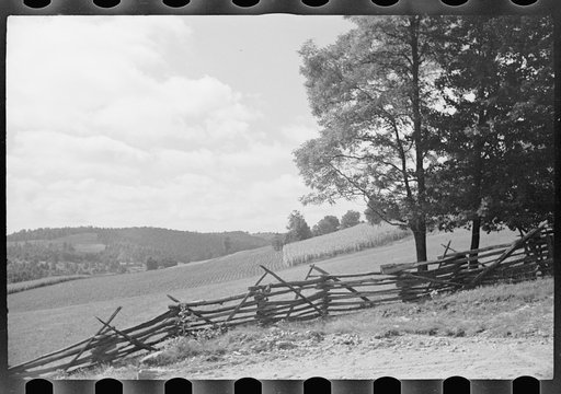 General view, Garrett County, Maryland