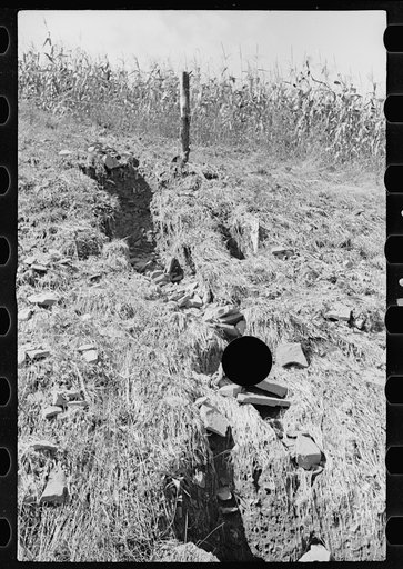Untitled photo, possibly related to: Farmland, hillside type, thoroughly worked, Garrett County, Maryland
