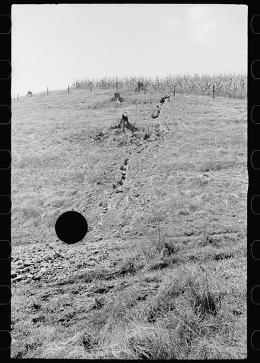 Untitled photo, possibly related to: Farmland, hillside type, thoroughly worked, Garrett County, Maryland