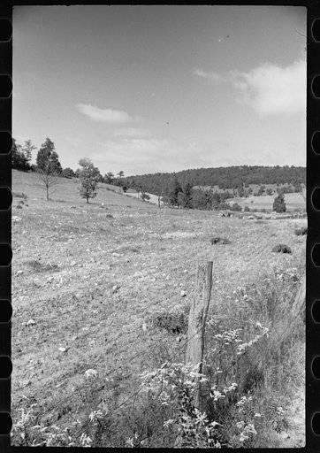 Untitled photo, possibly related to: Farmland, hillside type, thoroughly worked, Garrett County, Maryland
