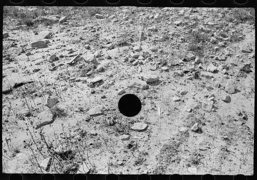 Untitled photo, possibly related to: Farmland, hillside type, thoroughly worked, Garrett County, Maryland