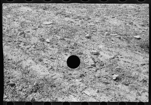 Untitled photo, possibly related to: Farmland, hillside type, thoroughly worked, Garrett County, Maryland