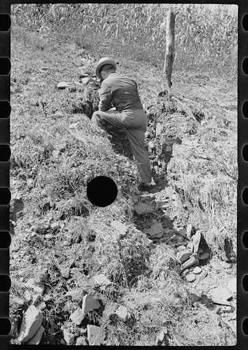 Untitled photo, possibly related to: Farmland, hillside type, thoroughly worked, Garrett County, Maryland