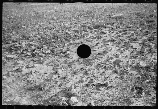 Untitled photo, possibly related to: Poor farming possibilities on this kind of land, Garrett County, Maryland