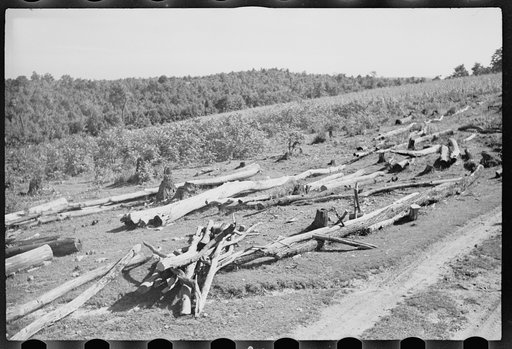 Shows wasteful use of soil, Garrett County, Maryland