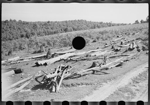 Untitled photo, possibly related to: Shows wasteful use of soil, Garrett County, Maryland