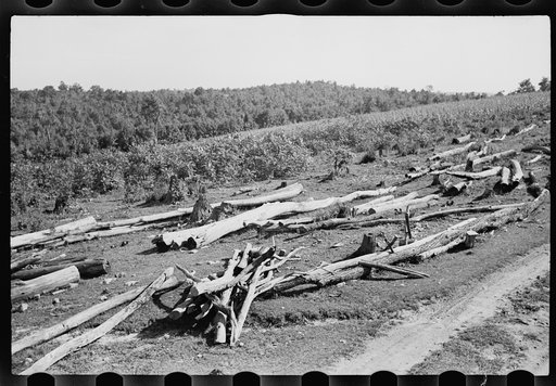 Untitled photo, possibly related to: Shows wasteful use of soil, Garrett County, Maryland