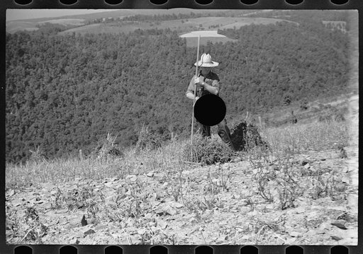 Untitled photo, possibly related to: Buckwheat field, Garrett County, Maryland