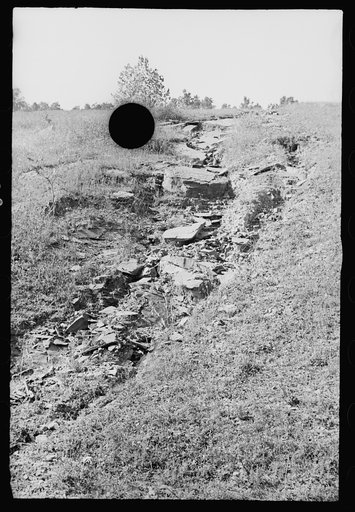 Untitled photo, possibly related to: Soil erosion, hillside gullied, Garrett County, Maryland