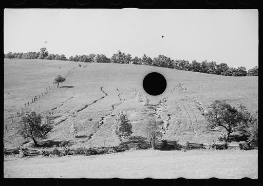Untitled photo, possibly related to: Soil erosion, hillside gullied, Garrett County, Maryland