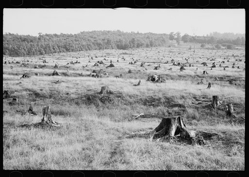 Cut-over, Garrett County, Maryland