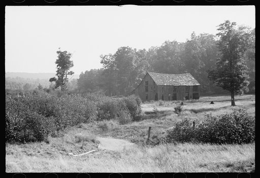 Untitled photo, possibly related to: Cut-over, Garrett County, Maryland