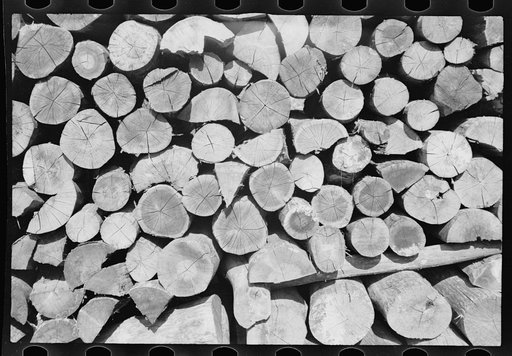 Cut logs, Garrett County, Maryland