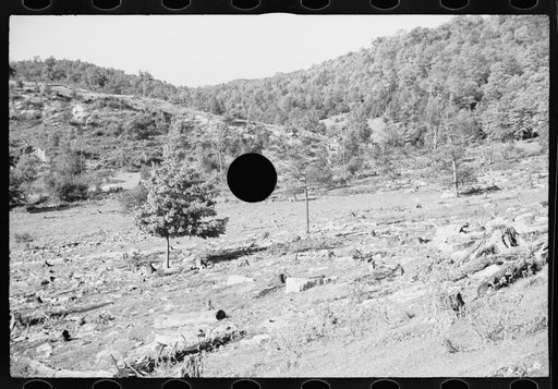 Untitled photo, possibly related to: Timber, Garrett County, Maryland