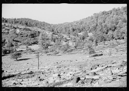 Untitled photo, possibly related to: Timber, Garrett County, Maryland