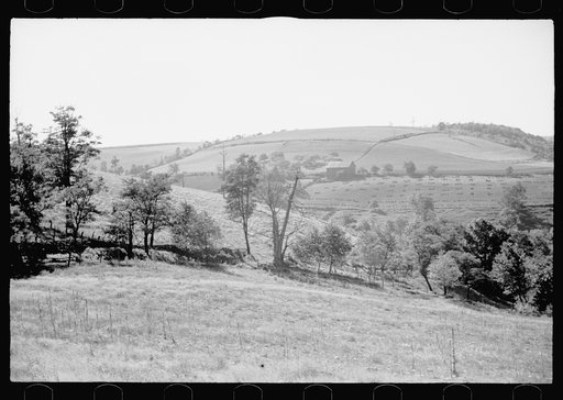 Untitled photo, possibly related to: Timber, Garrett County, Maryland