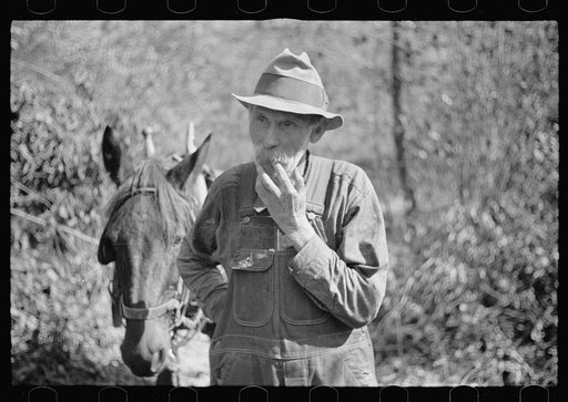 Untitled photo, possibly related to: Farmer whose timberland has been optioned by the government, Brown County, Indiana