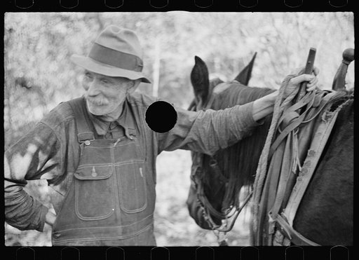 Untitled photo, possibly related to: Farmer whose timberland has been optioned by the government, Brown County, Indiana