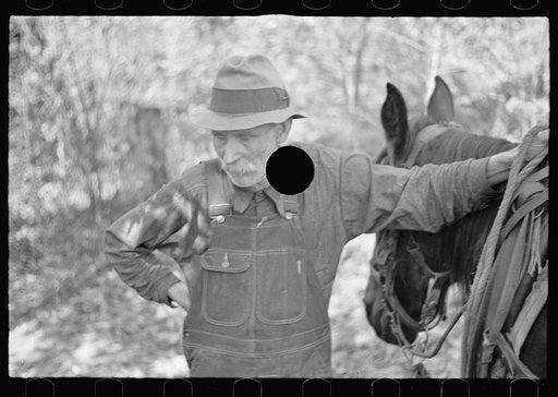 Untitled photo, possibly related to: Farmer whose timberland has been optioned by the government, Brown County, Indiana