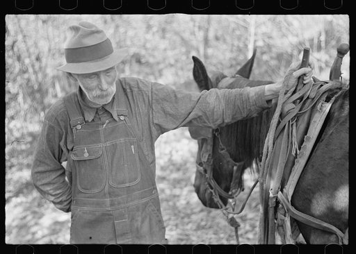 Farmer whose timberland has been optioned by the government, Brown County, Indiana