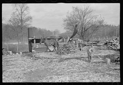 Sorghum cane mill situated on a well-travelled highway near Nashville, Indiana