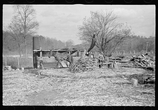 Untitled photo, possibly related to: Sorghum cane mill situated on a well-travelled highway near Nashville, Indiana