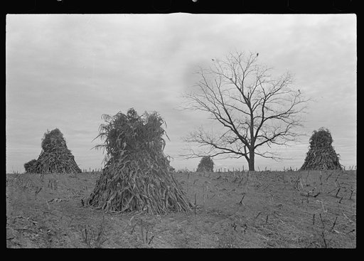 View of the resettlement area in Morgan County, Indiana