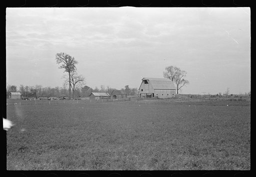Untitled photo, possibly related to: View of the resettlement area in Morgan County, Indiana