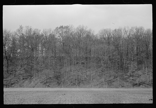Untitled photo, possibly related to: View of the resettlement area in Morgan County, Indiana