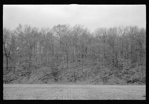 Untitled photo, possibly related to: View of the resettlement area in Morgan County, Indiana