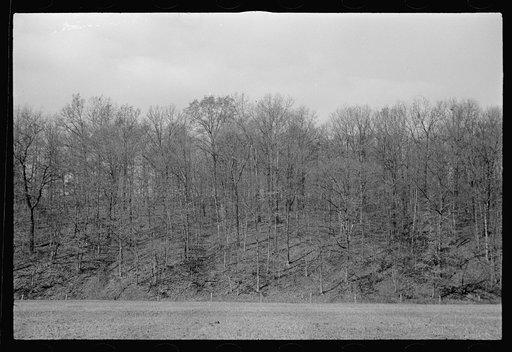Untitled photo, possibly related to: View of the resettlement area in Morgan County, Indiana