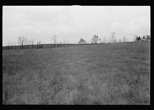 Untitled photo, possibly related to: Railroad ties painted with creosote, Brown County, Indiana