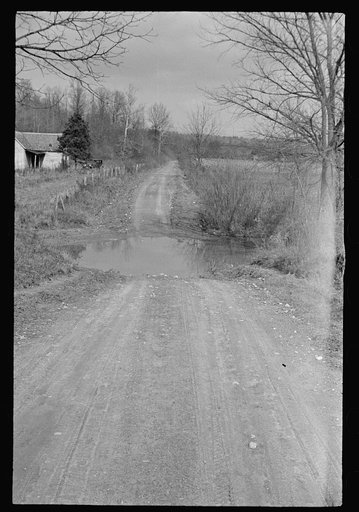Untitled photo, possibly related to: Railroad ties painted with creosote, Brown County, Indiana