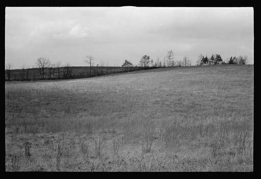 Untitled photo, possibly related to: Railroad ties painted with creosote, Brown County, Indiana