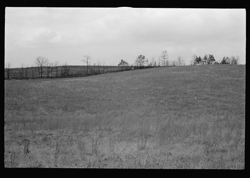 Untitled photo, possibly related to: Railroad ties painted with creosote, Brown County, Indiana