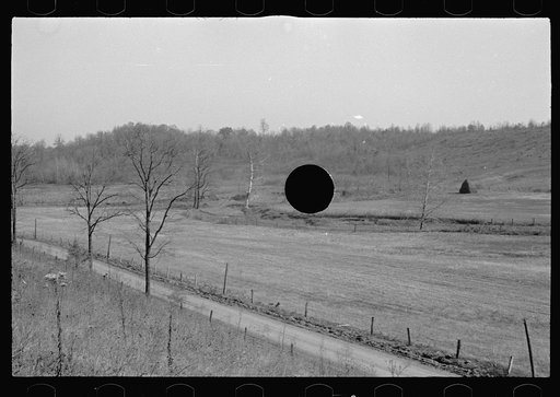 Untitled photo, possibly related to: Abandoned farmland, Brown County, Indiana