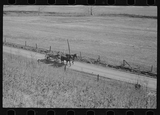 Abandoned farmland, Brown County, Indiana