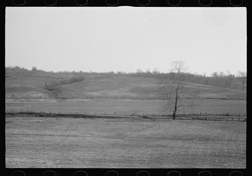 Untitled photo, possibly related to: Abandoned farmland, Brown County, Indiana