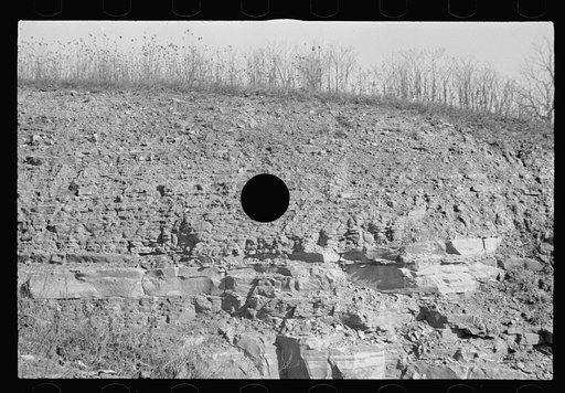 Untitled photo, possibly related to: Abandoned farmland, Brown County, Indiana