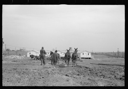 Untitled photo, possibly related to: Construction work at the Greenhills Project, Cincinnati, Ohio