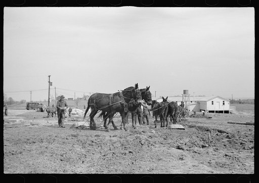 Untitled photo, possibly related to: Construction work at the Greenhills Project, Cincinnati, Ohio