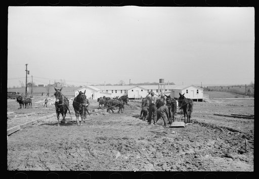 Untitled photo, possibly related to: Construction work at the Greenhills Project, Cincinnati, Ohio
