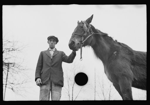 Untitled photo, possibly related to: Neglected horse owned by rehabilitation client, Jackson County, Ohio