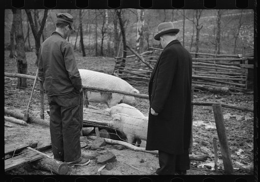Untitled photo, possibly related to: Resettlement Administration representative at door of rehabilitation client's house, Jackson County, Ohio